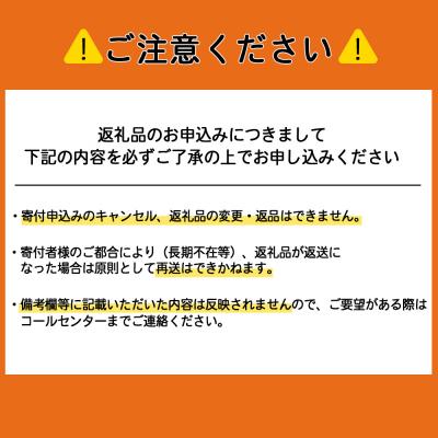 ふるさと納税 天塩町 トロケッテ・ウーノ プレーン&いちご 合計6個 |  | 03