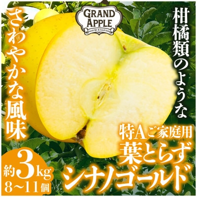 シナノゴールド　特Aご家庭用　約3kg(8～11個)【配送不可地域：離島・沖縄県】