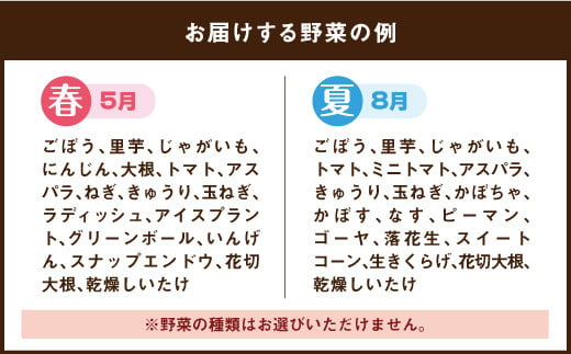 竹田市産！季節の『野菜箱』年4回 四季の定期便 1箱あたり:8~12種】