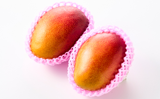 茨城県産 なめがたプリンセスマンゴー2L【400g以上】2個【配送不可地域：離島・沖縄県】