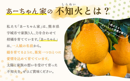 先行予約 不知火 あーちゃん家の不知火 5kg 【2027年4月上旬-5月下旬発送予定】