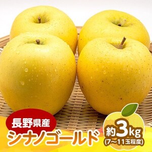 【発送月固定定期便】2026年発送予定 長野の果物 さくらんぼ+シナノゴールド全2回【配送不可地域：離島】【4081265】