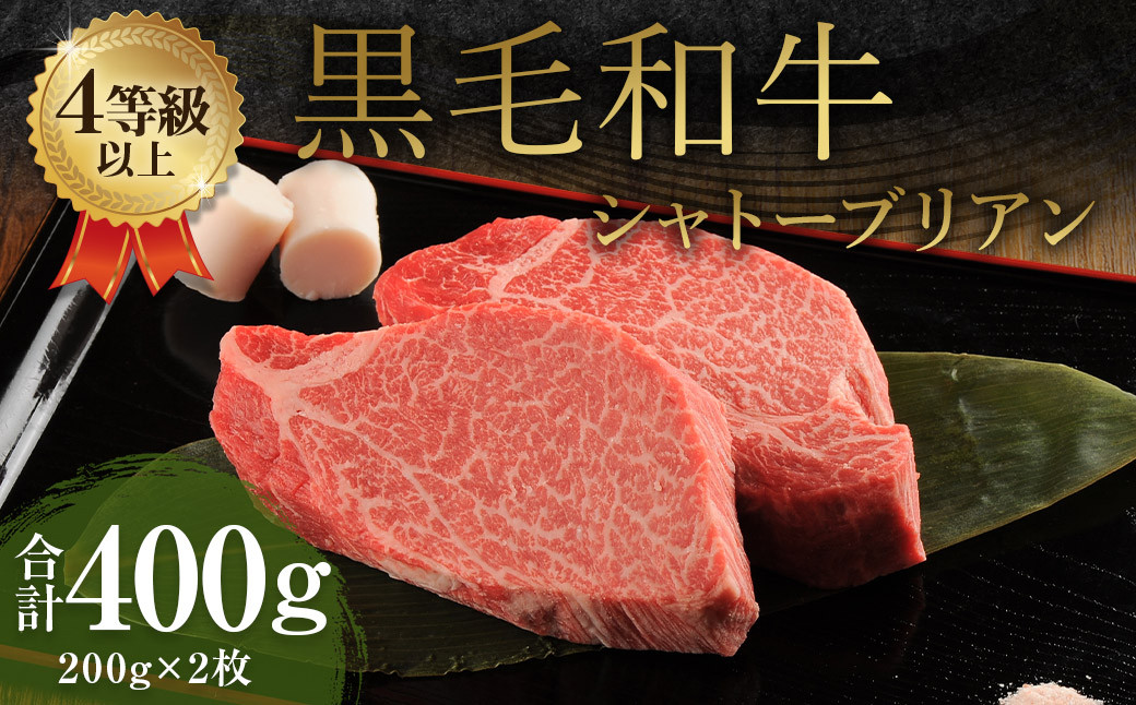 くまもと 黒毛和牛 シャトーブリアン 400g（200g×2枚）牛肉 牛 肉