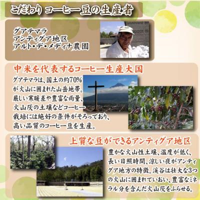 ふるさと納税 下関市 スペシャルティ コーヒー豆セット グアテマラ 300g(100g×3袋) EW122 |  | 02