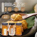 季節ごとに変わる殻出し生うに 50g×2本 うに用醤油付