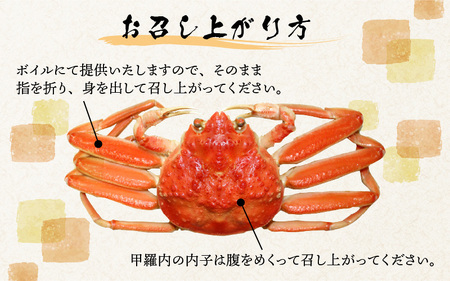 【先行予約】越前港より直送！ せいこがに（約150～200g）5杯※発送前に在宅確認の電話連絡をいたします!【11月～12月発送】 海鮮  ボイル 