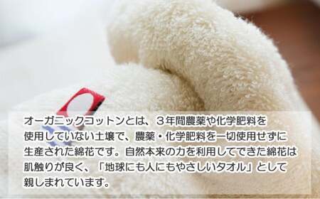 【今治タオル】【Hello!NEW タオル】バスタオル2枚＆フェイスタオル4枚セット TRUE ORGANIC（ご自宅用）