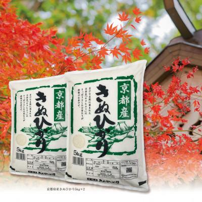 ふるさと納税 亀岡市 【令和7年産】京都丹波産 きぬひかり 5kg×2 計10kg ※精米したてをお届け