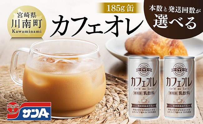 ※本数と回数が選べる※ サンA カフェオレ 185ｇ 缶 【 飲料 カフェオレ 缶 ジュース 長期保存 九州 宮崎県産 川南町 送料無料 】 [C03009][C03010]