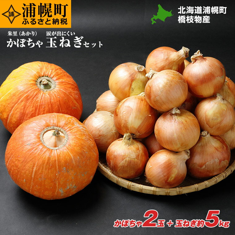 【ふるさと納税】かぼちゃ（2玉）とたまねぎ（約5kg）のセット 【2026年9月中旬以降発送】橋枝物産