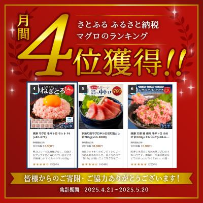 ふるさと納税 焼津市 【2026年8月発送】焼津 マグロ ネギトロ セット F4 ねぎとろ(a10-875202608) |  | 01