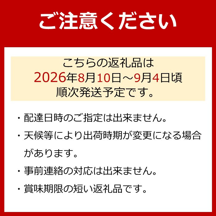 ［先行予約］［数量限定］梨とたなねし巨峰の詰め合わせ 約2kg　★2026年8月中旬頃より順次発送 BZ127