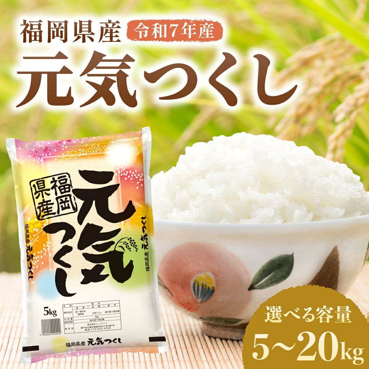 【ふるさと納税】【選べる内容量】令和7年産 福岡県産元気つくし 5kg〜20kg | ふるさと納税 元気つくし 福岡県産 ブランド米 米 白米 精米 新米 お取り寄せ ごはん 人気 高評価 九州米 食味ランキング 家庭用 ギフト