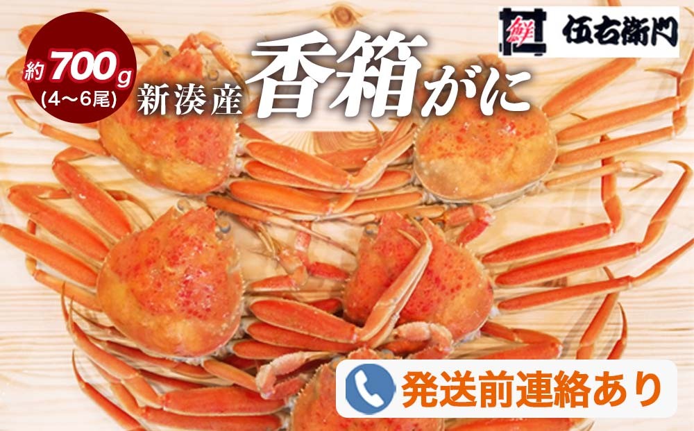 
                  【伍右衛門】新湊産香箱がに4～6尾（計約700g）｜海鮮 お祝い 集まり ズワイガニ 雌 冬の味覚 茹でたて 新鮮 国産 富山県産 ※2026年11月～発送 ※発送まで1か月以上かかる場合があります。
                