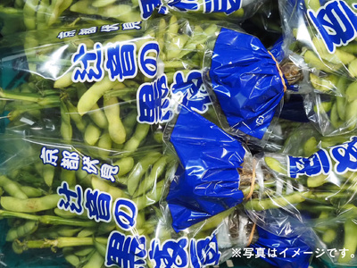 【期間限定】 京都府産 枝付き 黒枝豆 1kg （約500g×2束） 枝豆 えだまめ 京都 おつまみ ビール 夏野菜 夏 サラダ 天ぷら 大豆 旬 黒豆