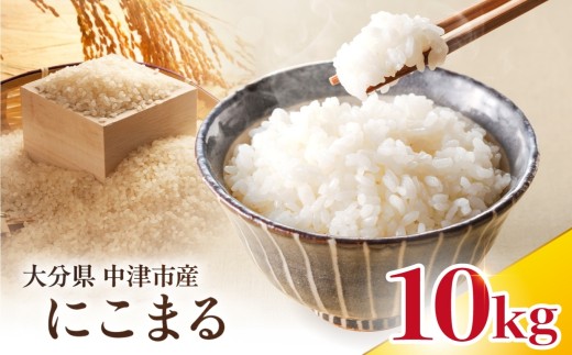 【寄附使途限定】【数量限定】大分県中津市産 やまくに誉 にこまる 10kg ( 5kg × 2袋 ) | お米 米 おこめ 白米 精米 うるち米 単一米 ご飯 産地直送 ブランド米 国産米 九州 大分県 中津市