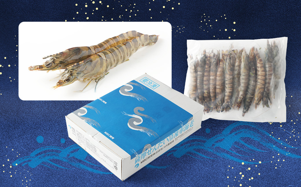 ASR-746 冷凍車エビ(約1kg) (加熱調理用) 