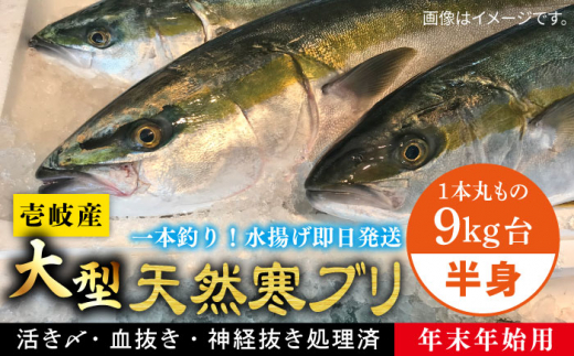 【11/1～1/15お届け 年末年始用】壱岐島産天然寒ブリ（一本丸ものサイズ9キロ台 半身ブロック）《壱岐市》【壱岐島 玄海屋】 [JBS104]    100000 100000円 10万円