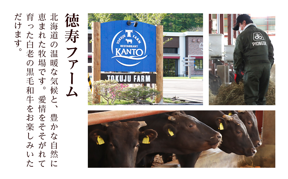 白老牛 サーロイン ステーキ 200ｇ×12枚 （2.4?） 特製ソース付き 和牛 牛肉 ギフト 北海道＜徳寿＞