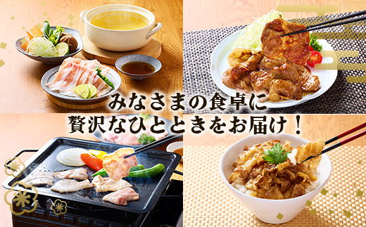 豚肉 宮崎県産 いもこ豚 しゃぶしゃぶ セット 3kg しゃぶしゃぶ用 切り落とし 小分け 真空パック 豚 豚バラ ロース 肩ロース スライス 小間切れ 鍋 鍋用 国産 九州産 宮崎 ブランド 冷凍 