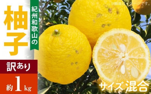 AB7034n_【国産】紀州和歌山の ご家庭用 訳あり 柚子 (ゆず) 約1kg