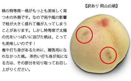 桃 2024年 先行予約 訳あり 白桃 約3.8kg（10～15玉）早生、中生種 もも モモ 岡山県 倉敷市 産 国産 フルーツ 果物 花田青果