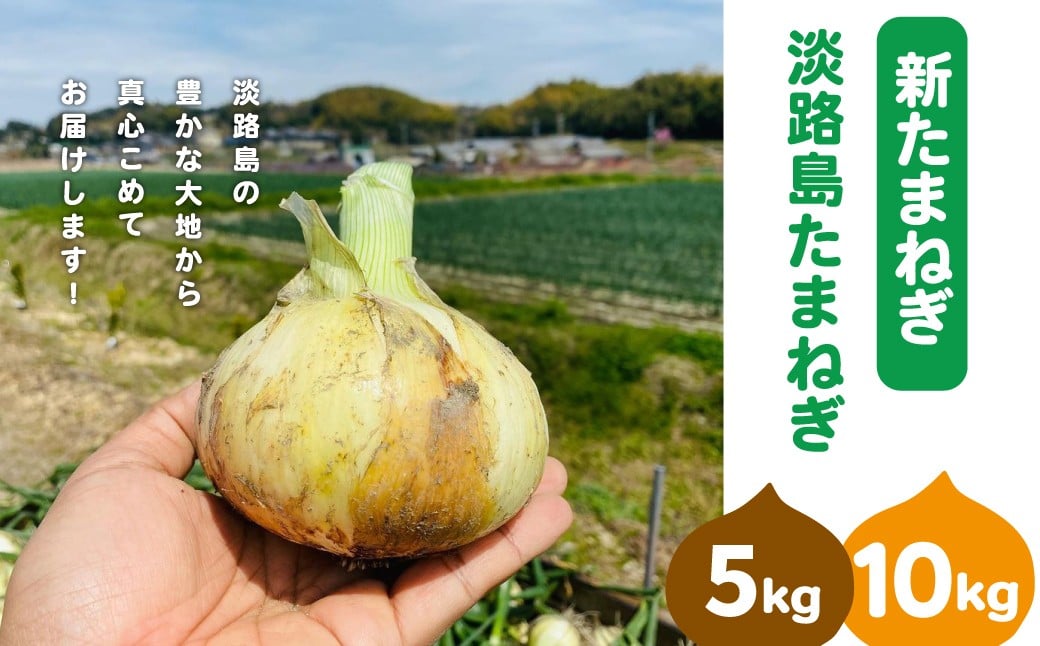 
            【新たまねぎ】淡路島たまねぎ(5～10キロ)【発送時期：2026年5月頃】
          