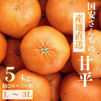 【ふるさと納税】【愛媛が誇る 高級みかん 希少品種】甘平 (かんぺい) 5kg【H20-66】【1620336】