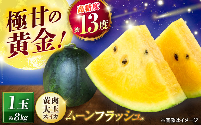 【先行予約】 ＼TVで話題／ ムーンフラッシュ 黄色 スイカ 大玉 1玉 約 8kg すいか 西瓜 熊本県産 産地直送 農家直送 熊本 くまもと 山鹿 【きもと農園】[ZFQ005]