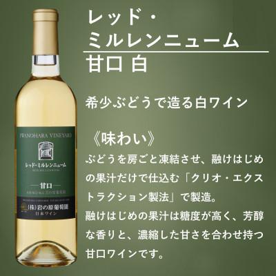 ふるさと納税 上越市 岩の原ワイン　レッド・ミルレンニューム　甘口 |  | 01