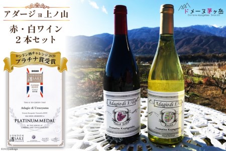 ワイン 赤 ミディアムボディ 白 辛口 「アダージョ上ノ山」ワイン赤白 750ml 2本 計 1500ml ワインセット 山梨ワイン 日本ワイン  フラネオール 10倍 ロンドン酒チャレンジ2020プラチナ賞 国産 わいん wine 酒 お酒 洋酒 果実酒 アルコール度 12.5％ 11％  樽熟成 濃厚 完熟 マスカット・ベーリーＡ 甲州 [山梨県 韮崎市 ドメーヌ茅ケ岳 20743378]