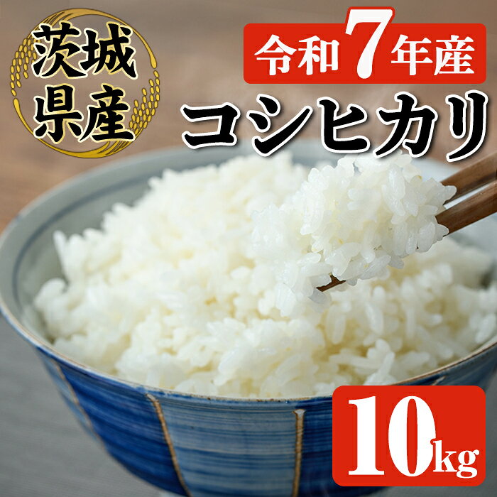 【ふるさと納税】米 お米 新米 令和7年 常陸大宮産 コシヒカリ 10kg 令和7年産 精米 白米 こめ コメ ご飯 ごはん コシヒカリ こしひかり 10kg 10キロ【JA常陸　常陸農業協同組合】【ho1575】