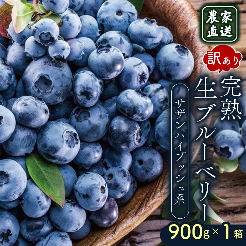 【ふるさと納税】 訳あり 農家直送 完熟生ブルーベリー（サザンハイブッシュ系）900g 2026年発送 早期予約 土佐ひらやま農園 ブルーベリー フルーツ 果物 くだもの 食品 人気 美容 おすすめ 期間限定 数量限定 高知県 南国市