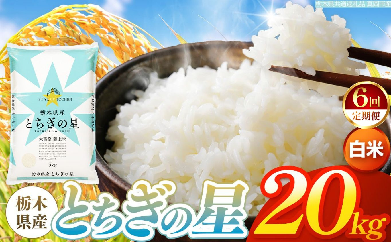 【令和8年産 新米】 【定期便6回】栃木県産 お米 とちぎの星　（白米） 20kg 【2026年秋以降発送】 |  栃木県 矢板市 【栃木県共通返礼品 真岡市産】