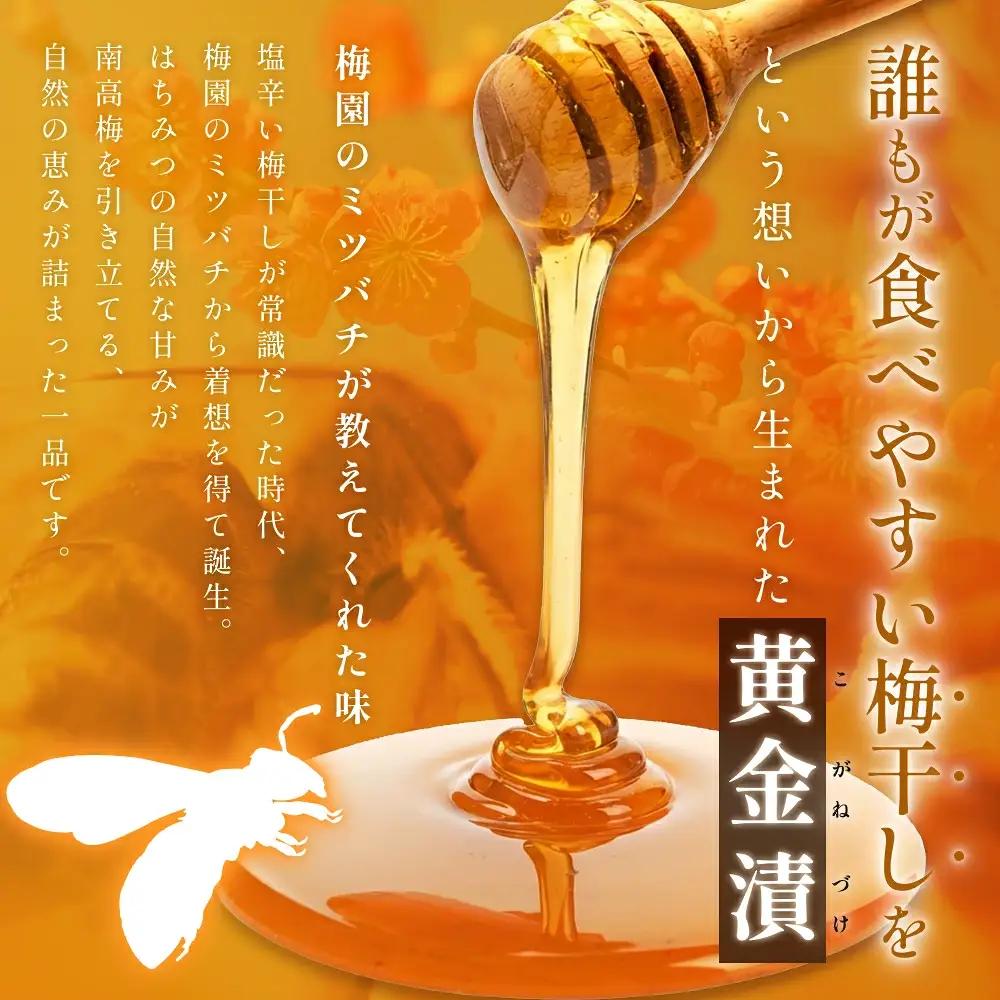 梅干し 400g 塩分約10％ 黄金漬 元祖はちみつ入梅干し【umicbn001B】