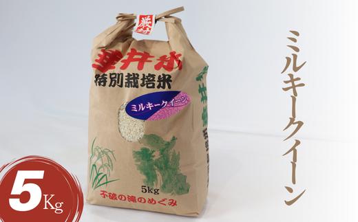 AL-5a 特別栽培米 垂井町産 ミルキークイーン 5kg
