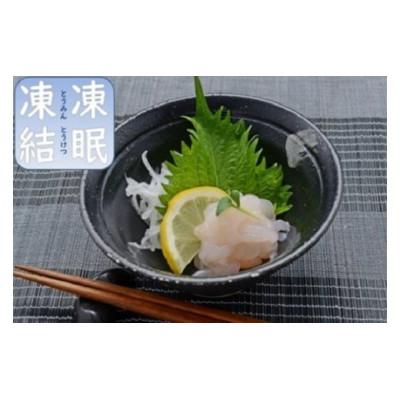 ふるさと納税 氷見市 富山湾の宝石 白エビ3種(殻付き・刺身・昆布〆)〈冷凍〉 |  | 01
