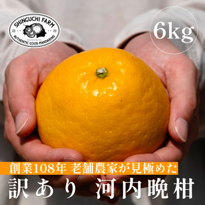 【老舗農家が見極めた】訳あり 河内晩柑 6kg 愛媛フルーツ旬の柑橘【C70−83】【1625557】