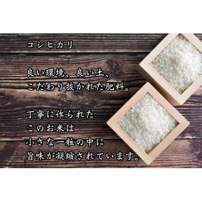 ふるさと納税 福知山市 【無洗米】30kg 京都産 精米 コシヒカリ 流通していない 特別なお米 |  | 01