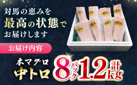 【1週間以内発送】対馬産 本マグロ 中トロ 1.2kg(8パック)マグロ まぐろ 本鮪 中とろ [WAH020] スピード発送 最速発送 最短発送