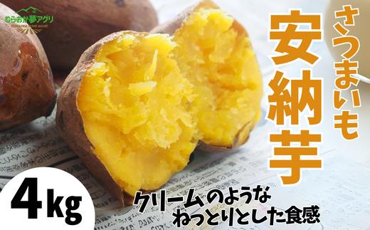 【先行予約】【さつまいも 安納芋 4kg】10月から12月にかけて発送予定 農薬不使用 農薬不使用 あんのう芋 サツマイモ イモ いも クリーム ねっとり 兵庫県 香美町 村岡 むらおか夢アグリ 41-13