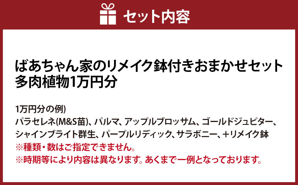ばあちゃん家のリメイク鉢付きおまかせセット 1万円分