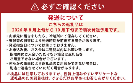 訳あり 梨 3kg なし ナシ くだもの 果物 フルーツ 国産 九州 熊本県 熊本市 冷蔵 【2025年8月上旬～10月上旬迄発送予定】