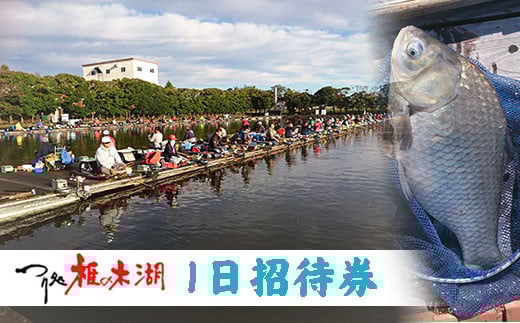釣り 体験 つり処椎の木湖 1日ご招待券 へら鮒 フィッシング スポーツ アウトドア 体験 チケット 観光 旅行