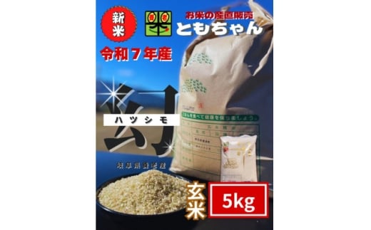 令和7年産　幻のハツシモ(旧品種)　玄米　5kg【1690466】