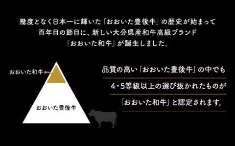 「おおいた和牛」ロースステーキ1枚(180g)