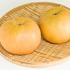【南信州高森産】梨界の甘さ番長 南水3kg ＜９月下旬発送＞