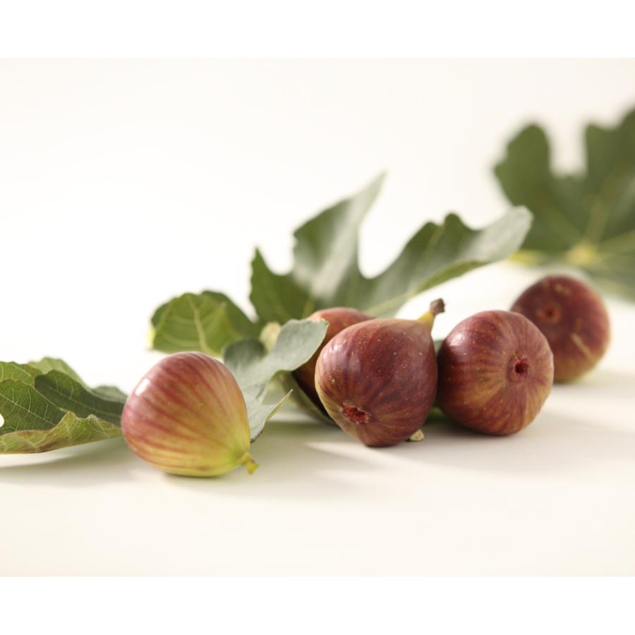 ＜紀のファーム＞秀品いちじく「桝井ドーフィン」1kg（12個）