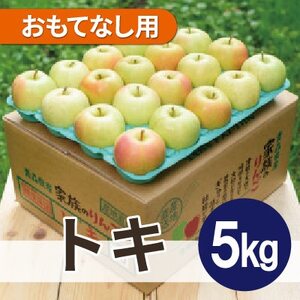 【2025年12月より順次発送】平均糖度13度以上! トキ 約5kg おもてなし用【配送不可地域：離島・沖縄県】【1667906】