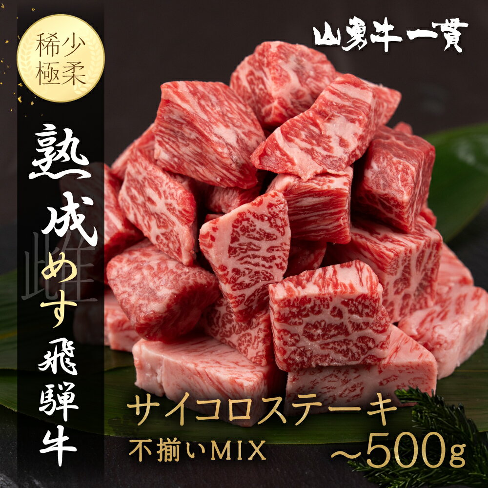 【ふるさと納税】《選べる内容量》熟成飛騨牛『山勇牛』サイコロステーキ用 300g 500g 30日以上熟成 ステーキ 肉 和牛 熟成 熟成肉 熨斗掛け ギフト